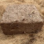 Pressed coconut peat pellets for pregnant bags