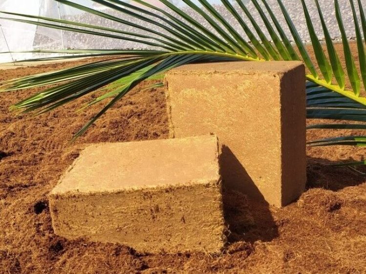 Compressed coconut coir product blocks