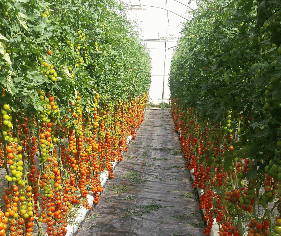 Farming and agriculture