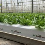 COCO COIR SLAB – COCO COIR GROWBAG (Grow bag)