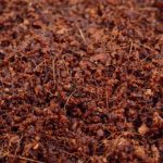 PRESSED COCONUT CAKES 600GR