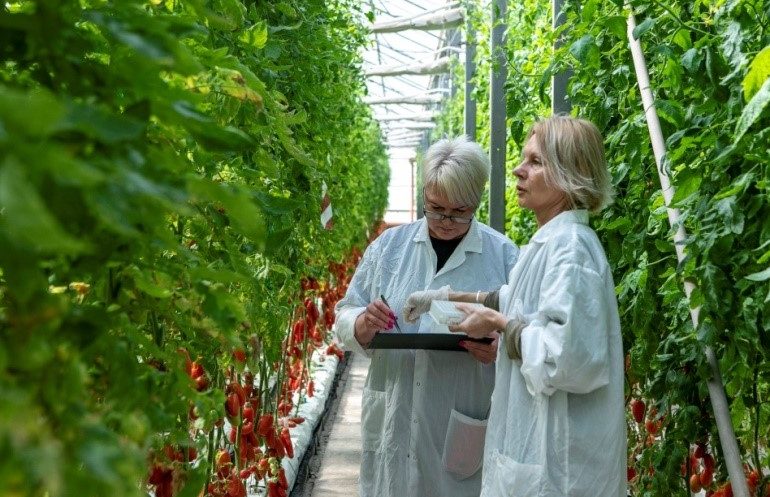 Growing & Technical Consultation
