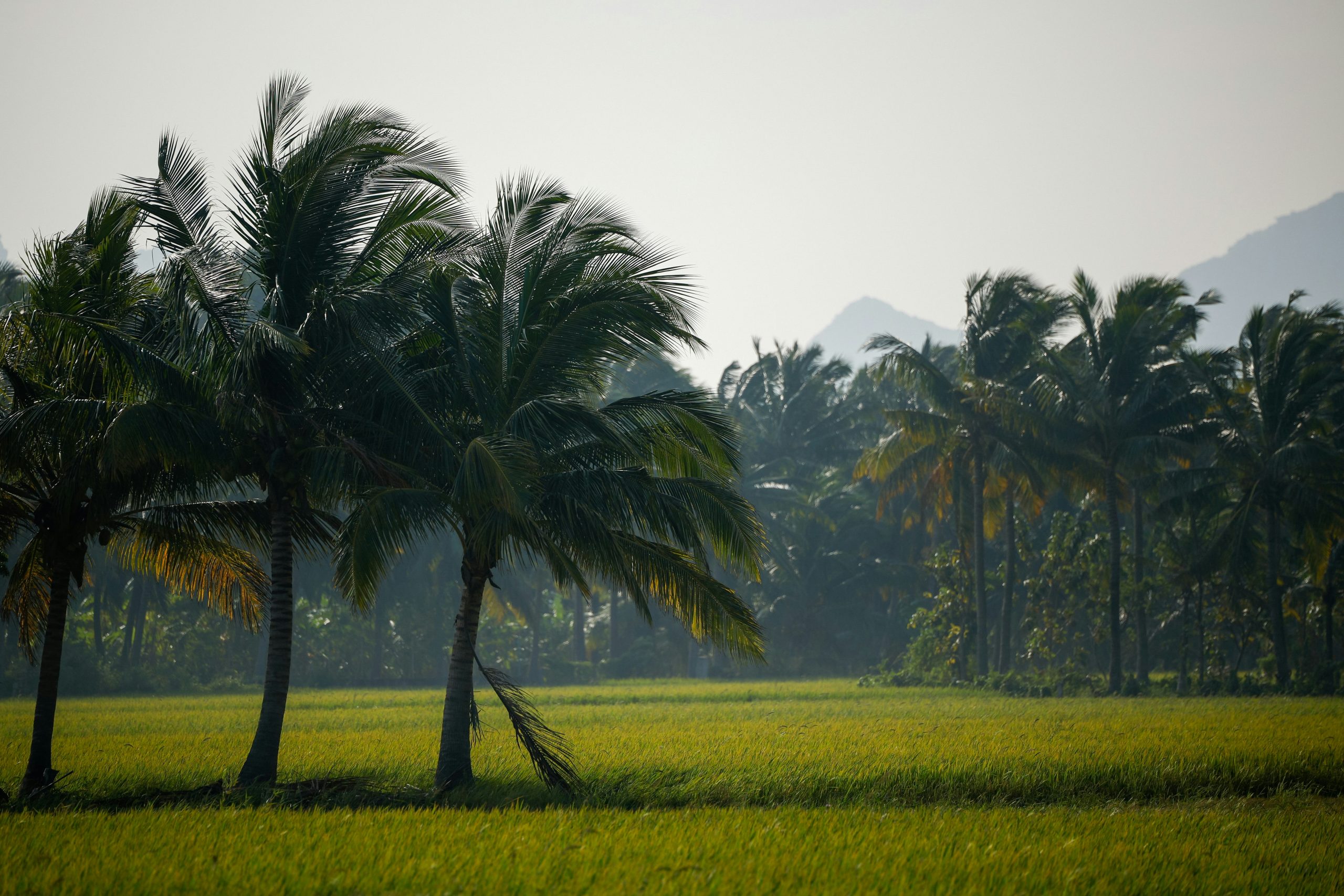 Farming and agriculture