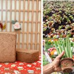 500g Compressed Coco Peat Block