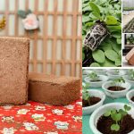 500g Compressed Coco Peat Block