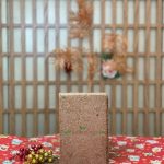 500g Compressed Coco Peat Block